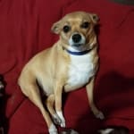 I will buy as long as it's advantageous to my little girl.