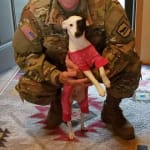 A great service to our Pets!!