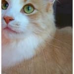 Waiting to see how well it works!