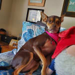 Good Prescription Provider