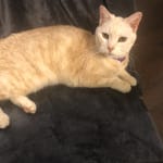 Precious is feeling much better!!!!!