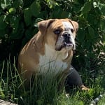 Keeps the wrinkles and folds clean!