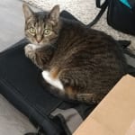 I have Liqui-tinic 4X on autodelivery.  #sweepstakes