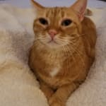 Thanks again from Frida!!