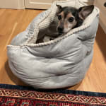 Anti-inflammatory eye drops