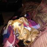 The medication helps her so much