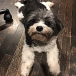 This medication works