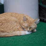 Great product at a great price and sold with care!