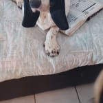 Manage anxiety
