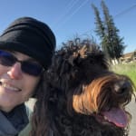 Manages plaque nicely