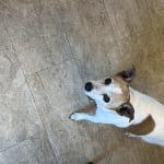 This med has been a game changer