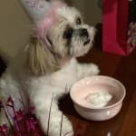 This medication helps to relief my baby's eyes