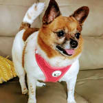 HAS DONE WONDERS FOR MY BABY GIRL