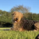 Quick Relief and Convenient Dosage