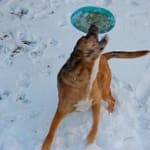 Waiting to see how well it works!