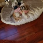 I would buy my products again