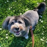 Great product at a great price - plus great service!