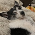 Omega is a great product