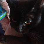 Yes definitely yes yes