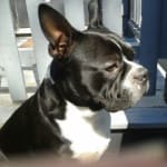 Best Probiotic We Have Used