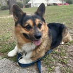 This medication is helping.