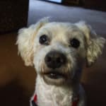 I keep buying for my sanity.