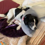 Expensive, good medication