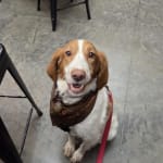 Ordering is a breeze