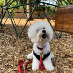 Increased her B12 levels