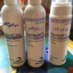 This is the Best Ever