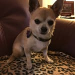 It's been working for Aldo!