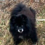 Improves quality of life