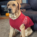 Relieved to have found lifesaving meds