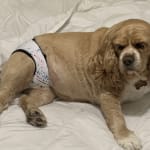 Now she's is the right weigh