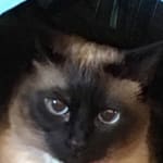 Pill Administration Assistance!