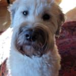 He's back to normal!