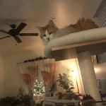 Generic version works beautifully for our needs