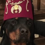 This Shriner relies on Alenza!!