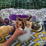 Medication has really helped.