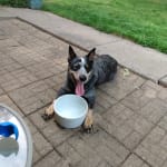 Great fast delivery!