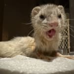 This food helped my baby girl