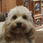 Helps in aging process