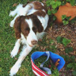 Very helpful for diarrhea.