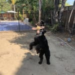 Quality product, easy to order