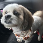 I would buy this product over and over again.