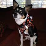 Great product and palate friendly