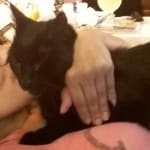 Makes Happy, feel happy, clean, and soft!