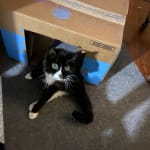 She is worth trying anything to make her feel better