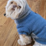 BioHex Shampoo for Dogs and Cats Chlorhexidine Miconazole