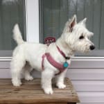 A medication that works.